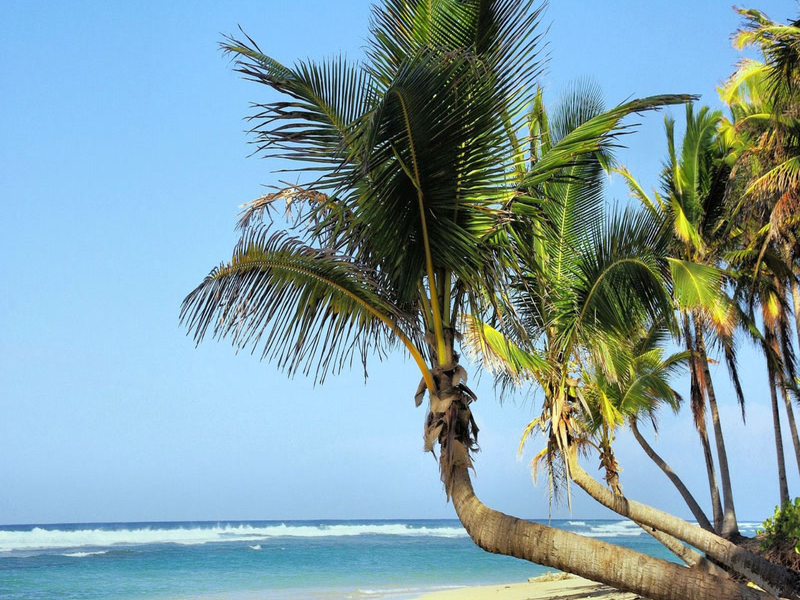 Decompress Together (Single)