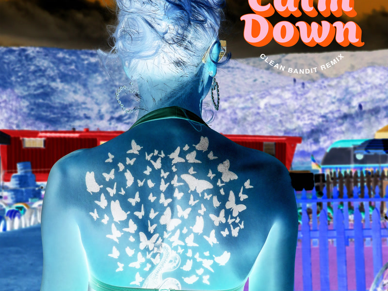 You Need To Calm Down (Clean Bandit Remix) (Single)