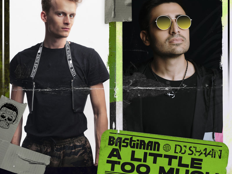 A Little Too Much (Faustix Remix) (Single)