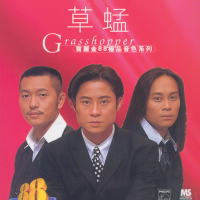 Ban Li Jin 88 Ji Pin Yin Se Xi Lie - Grasshopper