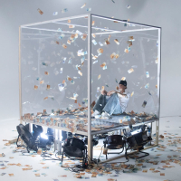 IM GLASHAUS MIT SCHEINEN WERFEN (Single)