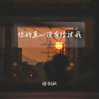 你的真心没有给过我 (Single)