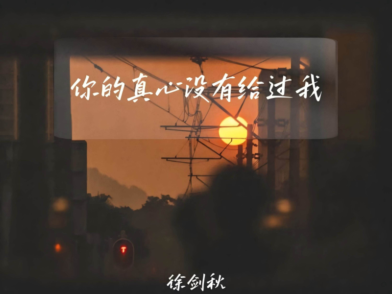 你的真心没有给过我 (Single)