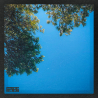 Pine (Single)
