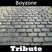 All That I Need: Tribute to Boyzone