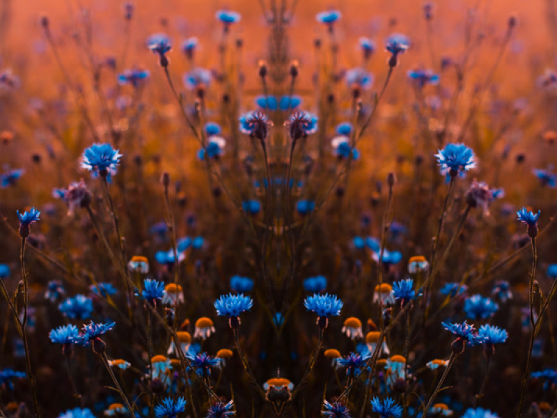 Fresh Start (Single)