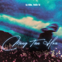 Mộng Tàn Hoa (DJ Bibo Remix) (Single)