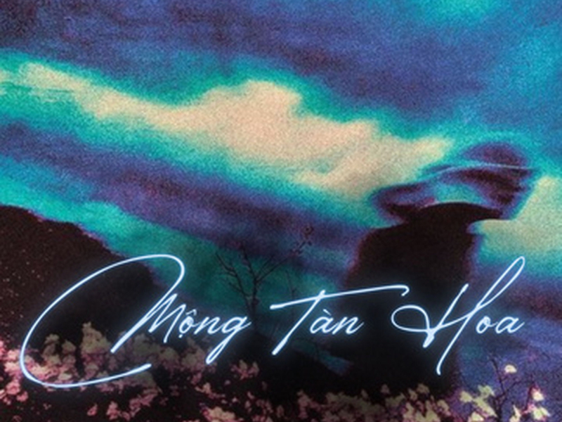 Mộng Tàn Hoa (DJ Bibo Remix) (Single)