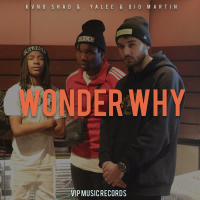 Wonder Why (Single)