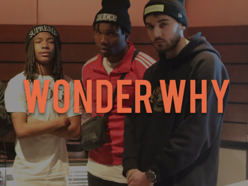 Wonder Why (Single)