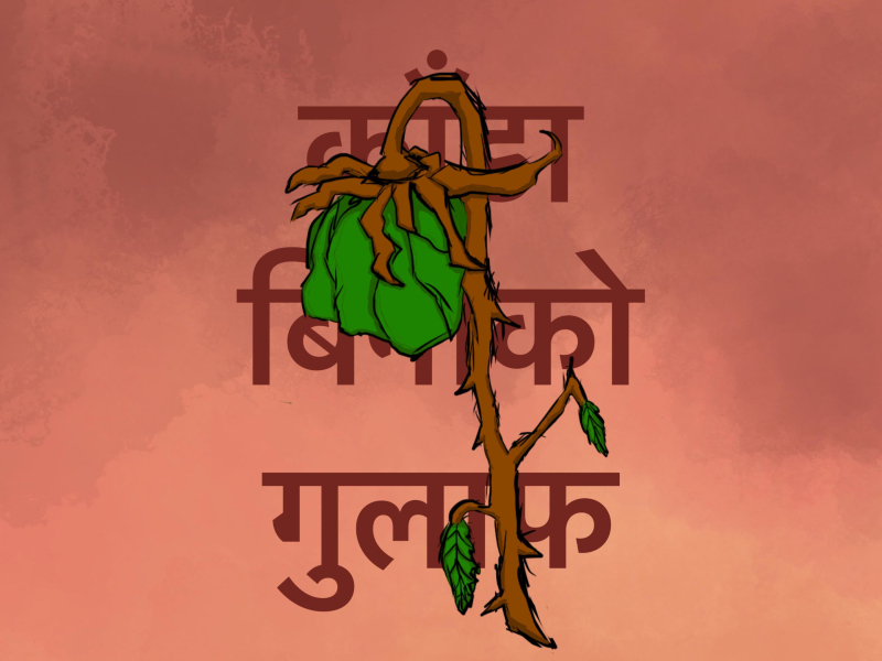 Kaada Binako Gulaf (Single)