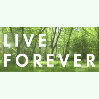 Live Forever (Single)