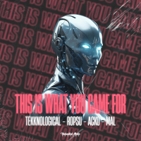 This Is What You Came For (feat. Mal) (Single)