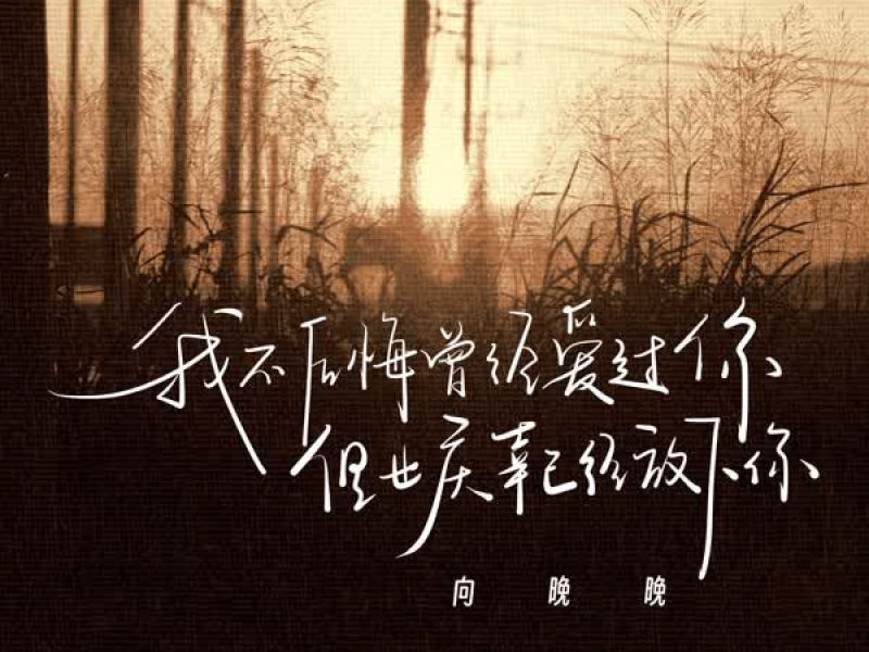 我不后悔曾经爱过你，但也庆幸已经放下你 (Single)