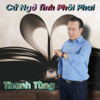 Cứ Ngỡ Tình Phôi Phai (Single)