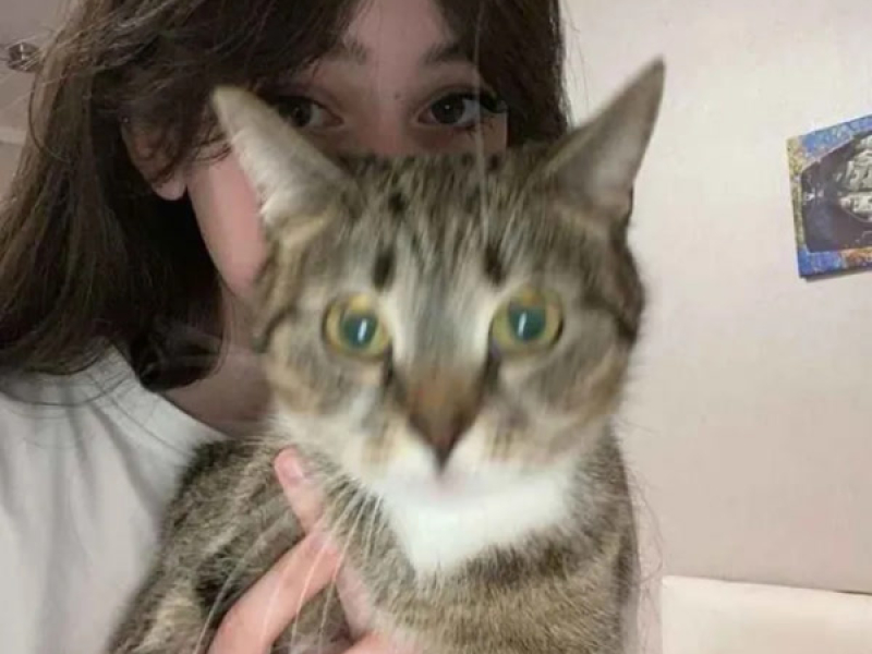 Hayırlı Günler 2.0 (Single)