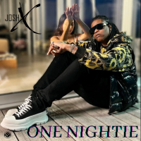 One Nightie (Single)