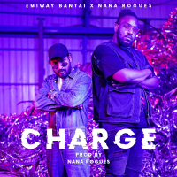 Charge (Single)