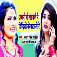 Hamaro Ke Patawale Re Didiyo Ke Patawale Re (Single)