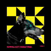 AMIGOS PARA SEMPRE VOL.1 (Single)