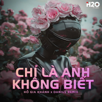 Chỉ Là Anh Không Biết (Danius Remix) (Single)