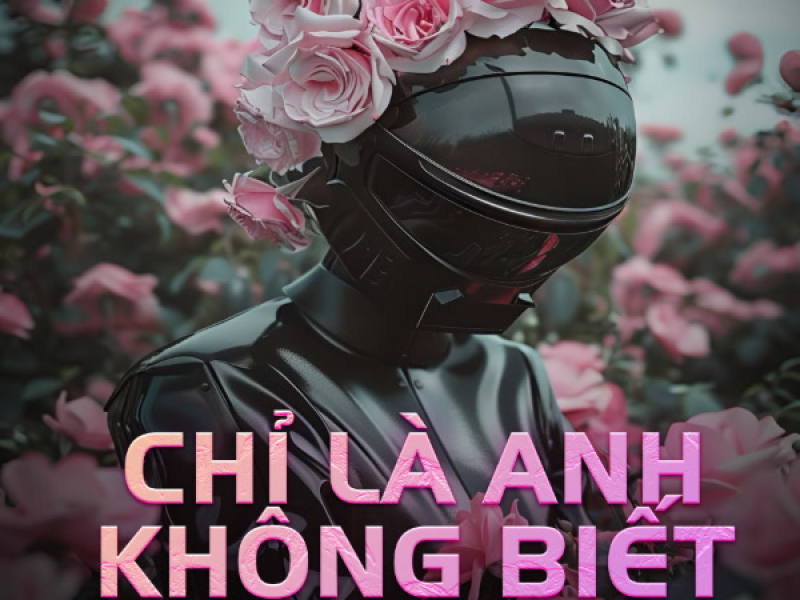 Chỉ Là Anh Không Biết (Danius Remix) (Single)