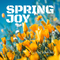 Spring Joy (Single)