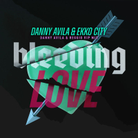 Bleeding Love (Danny Avila & Reggio VIP Mix) (Single)
