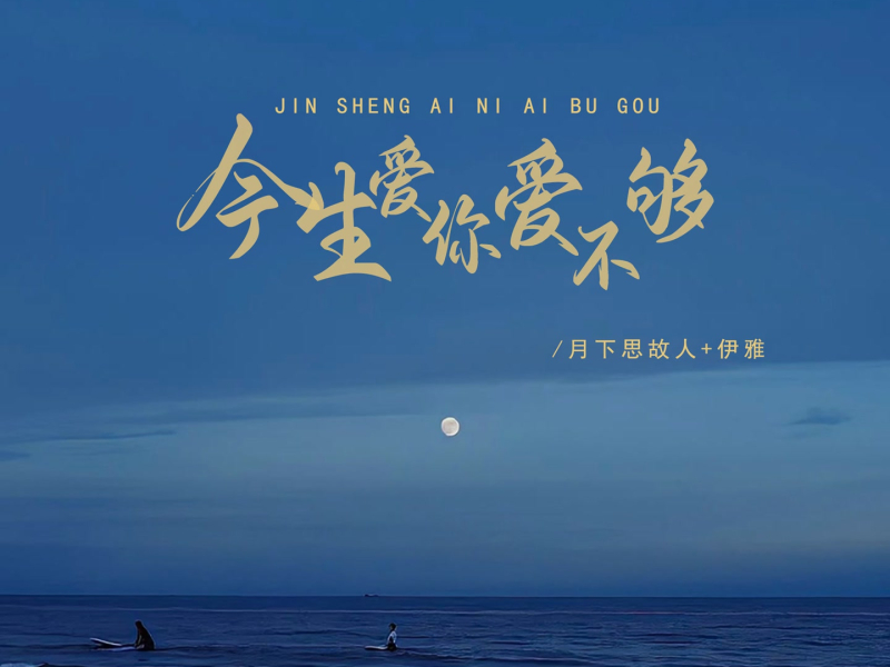 今生爱你爱不够 (对唱版) (EP)