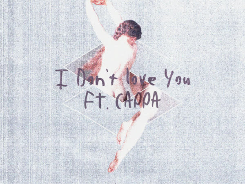 I Don't Love You (Single)