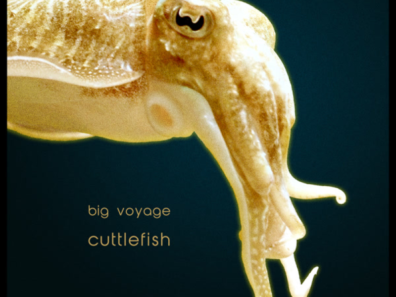 Cuttlefish (EP)