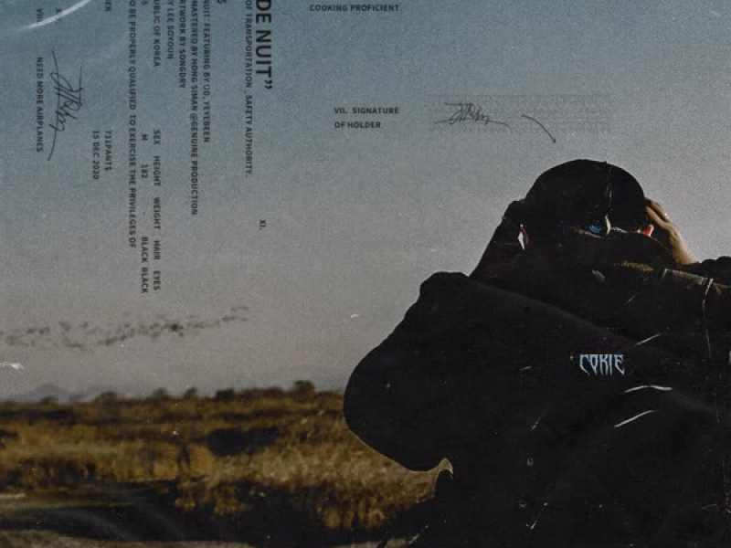 Vol de nuit (feat. UD, YEYEBEEN) (Single)