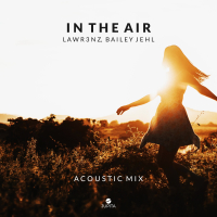 In The Air (Acoustic Mix) (Single)