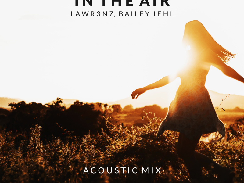 In The Air (Acoustic Mix) (Single)