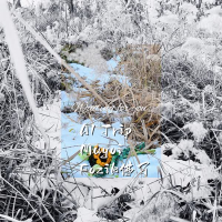 Waiting for You (Single)