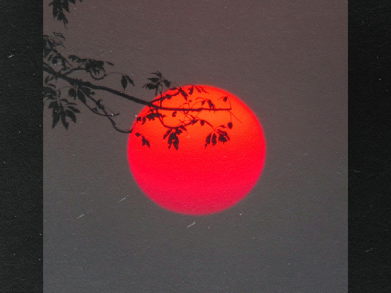 Decisiveness (Single)