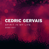 Spirit In My Life (2020 Edit) (Single)