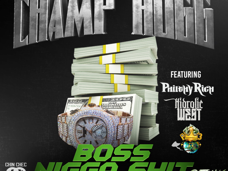 Boss Nigga Shit (Remix) [feat. P3, Philthy Rich & Hydrolic West]