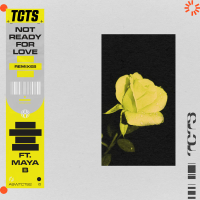 Not Ready For Love (Remixes) (Single)