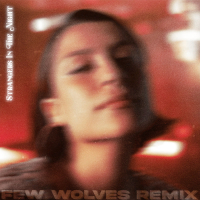 Strangers In The Night (Few Wolves Remix) (Single)
