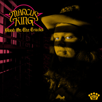 Blood on the Tracks (Single)