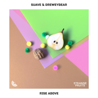 Rise Above (Single)