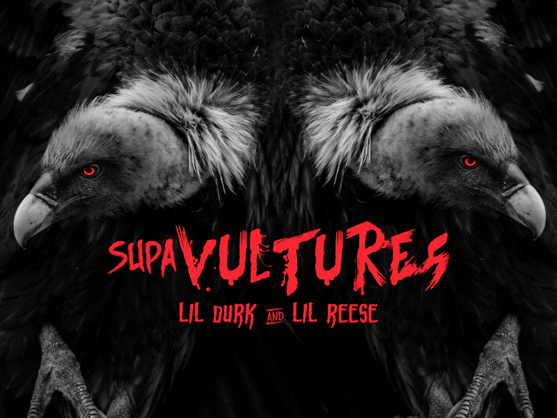 Supa Vultures