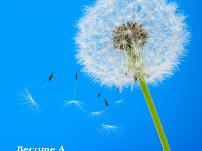 Become A Dandelion (Single)