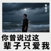 你曾说过这辈子只爱我 (Single)