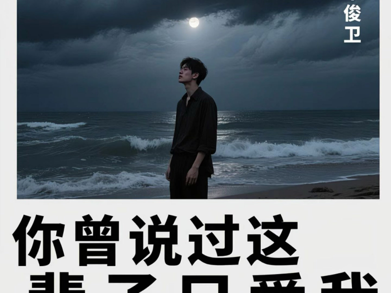 你曾说过这辈子只爱我 (Single)