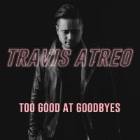 Too Good at Goodbyes (Single)