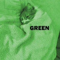 Green (Single)