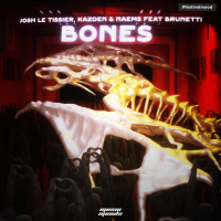 Bones (feat. Brunetti) (Single)