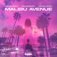 Malibu Avenue (Single)